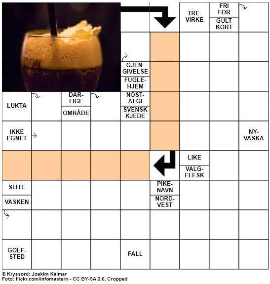 Dagens kryssord - 9. Januar - 2018