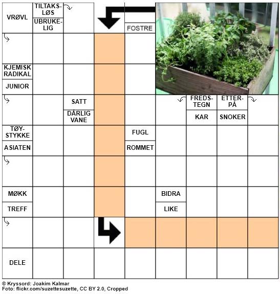 Dagens kryssord - 9. Juni - 2018
