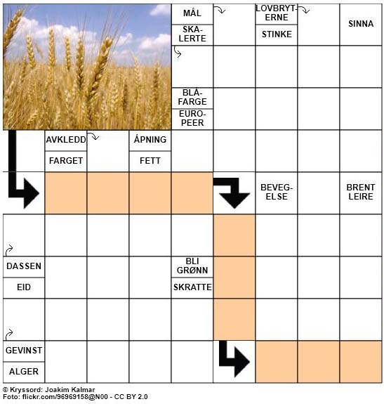 Dagens kryssord - 9. Mai - 2018