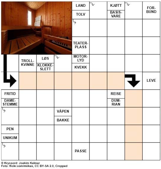 Dagens kryssord - 9. Mars - 2018