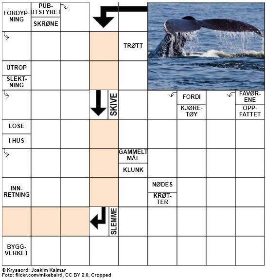 Dagens kryssord – 9. November – 2018