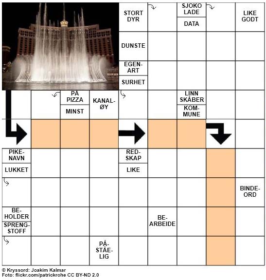 Dagens kryssord - 9. September - 2017