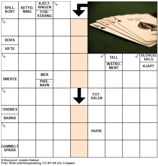Dagens kryssord - 9. September - 2018
