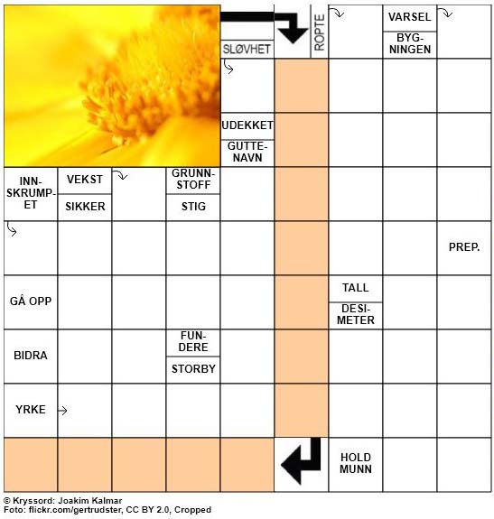 Dagens påskekryssord - 2. April - 2018