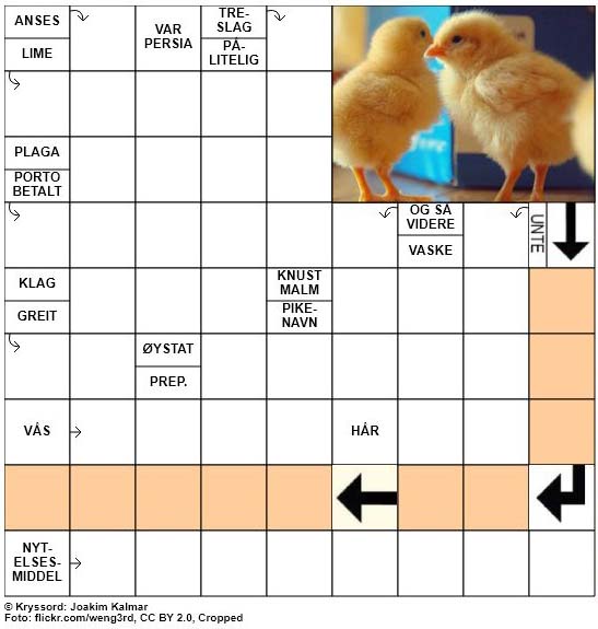 Dagens påskekryssord - 24. Mars - 2018