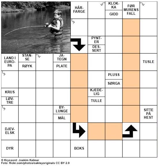 Sommerkryssord nr. 15 - 17.juni - 2017