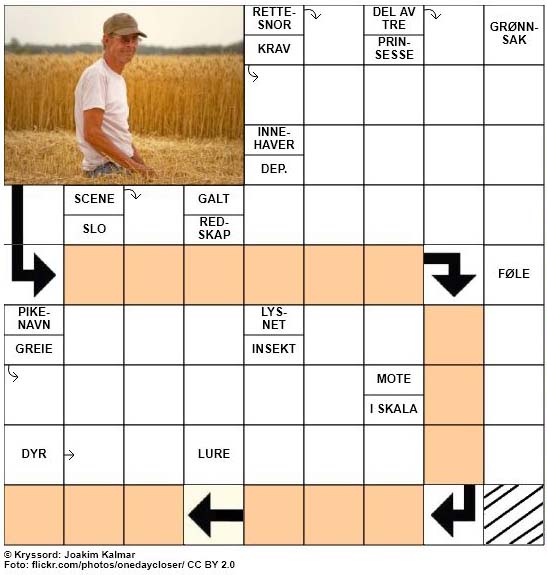 Sommerkryssord nr. 18 - 20.juni - 2017