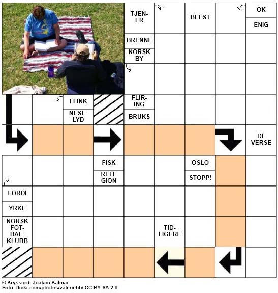 Sommerkryssord nr. 22 - 24.juni - 2017