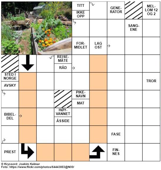 Sommerkryssord nr. 3 - 5.juni - 2017