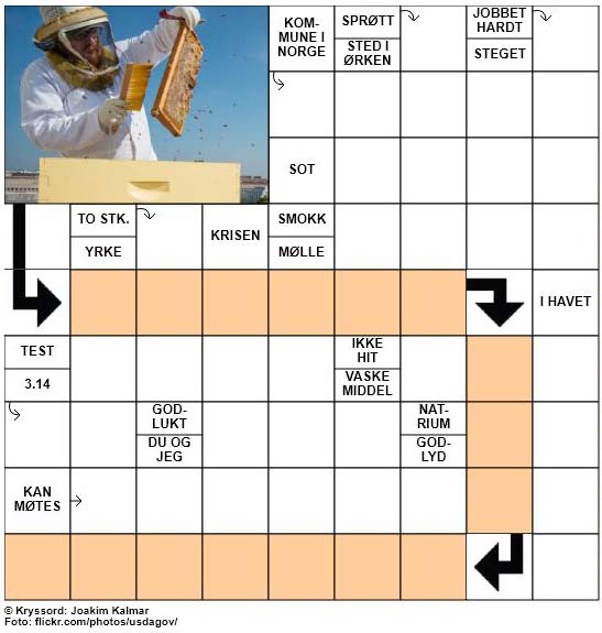 Sommerkryssord nr. 40 - 12.juli - 2017