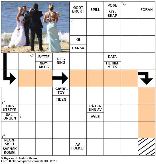 Sommerkryssord nr. 41 - 13.juli - 2017