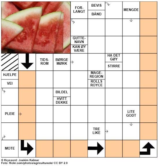 Sommerkryssord nr. 42 - 14.juli - 2017