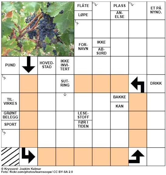 Sommerkryssord nr. 45 - 17.juli - 2017