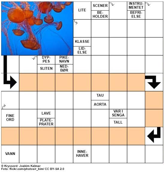 Sommerkryssord nr. 47 - 19.juli - 2017