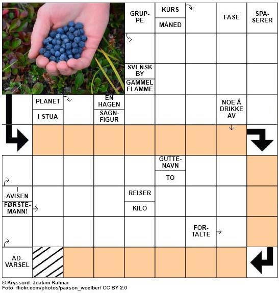 Sommerkryssord nr. 49 - 21.juli - 2017