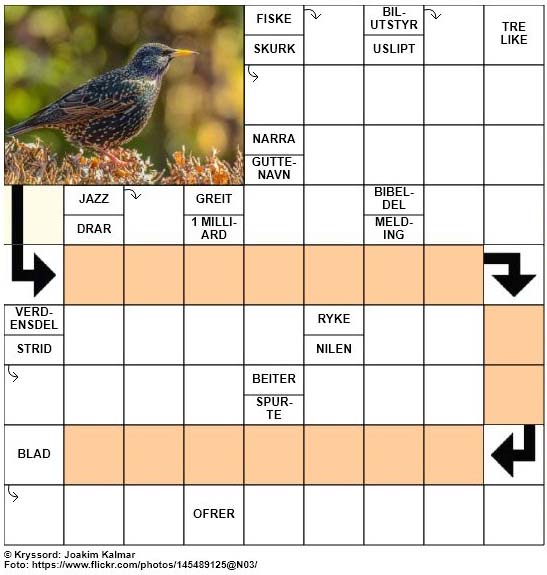 Sommerkryssord nr. 5 - 7.juni - 2017