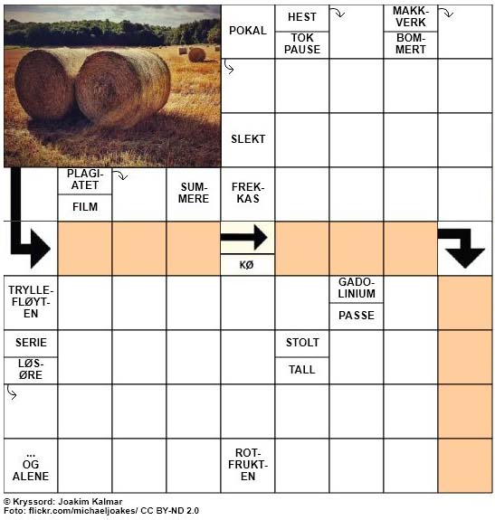 Sommerkryssord nr. 57 - 29.juli - 2017