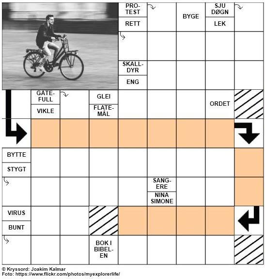 Sommerkryssord nr. 6 - 8.juni - 2017