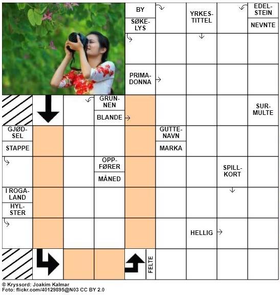 Sommerkryssord nr. 62 - 3. August - 2017