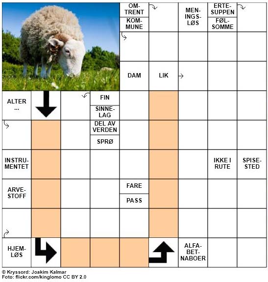 Sommerkryssord nr. 72 - 13. August - 2017