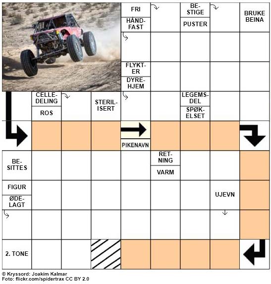 Sommerkryssord nr. 73 - 14. August - 2017