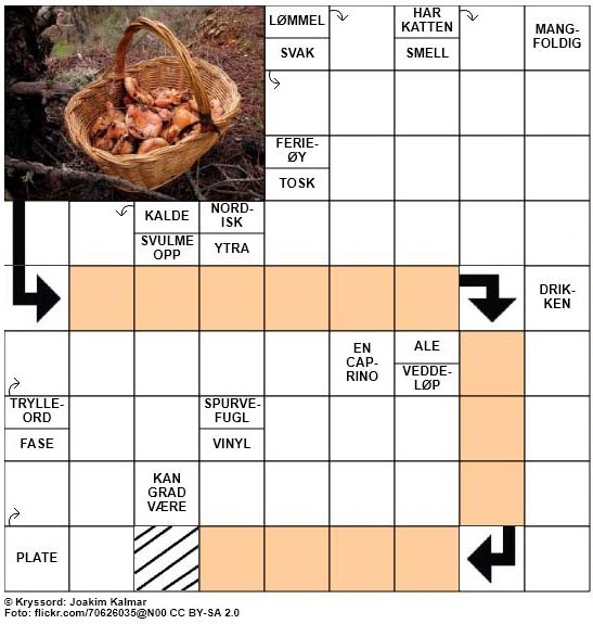 Sommerkryssord nr. 78 - 19. August - 2017