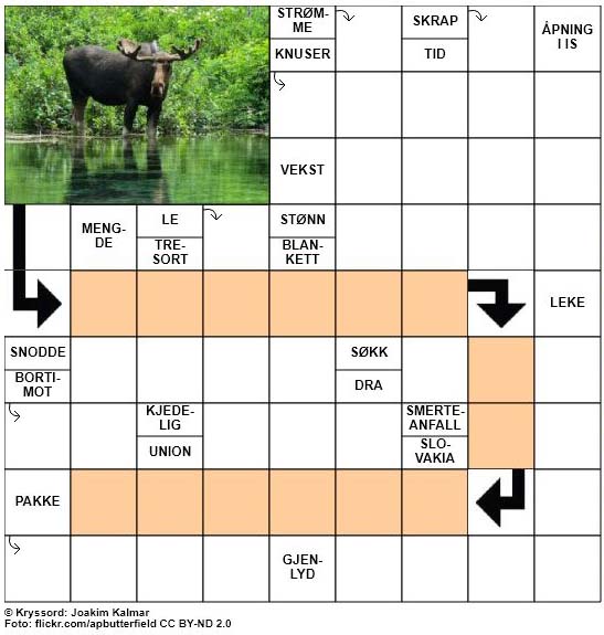 Sommerkryssord nr. 81 - 22. August - 2017