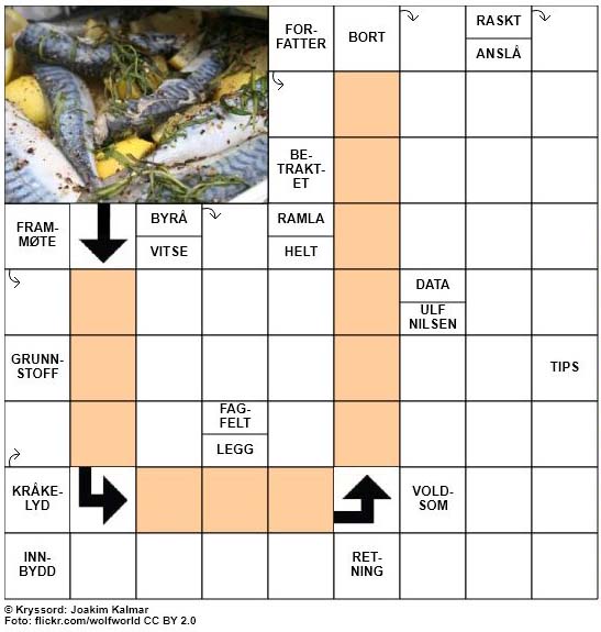 Sommerkryssord nr. 84 - 25. August - 2017