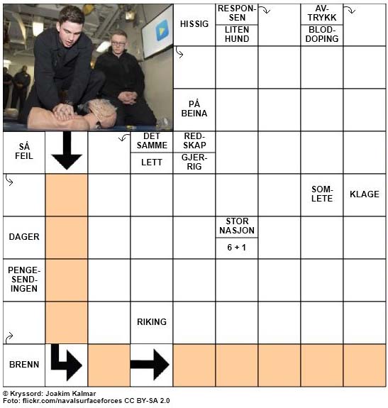 Sommerkryssord nr. 85 - 26. August - 2017