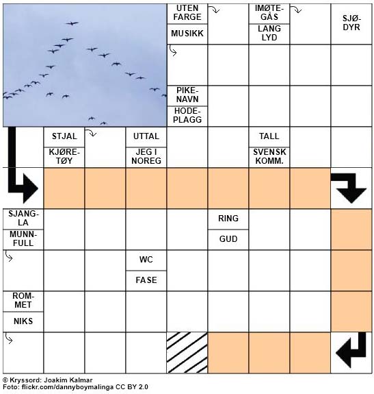 Sommerkryssord nr. 88 - 29. August - 2017