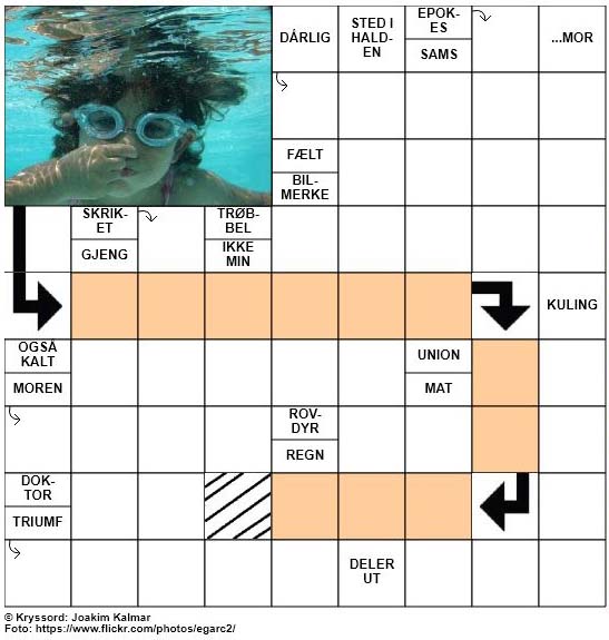 Sommerkryssord nr. 9 - 11.juni - 2017