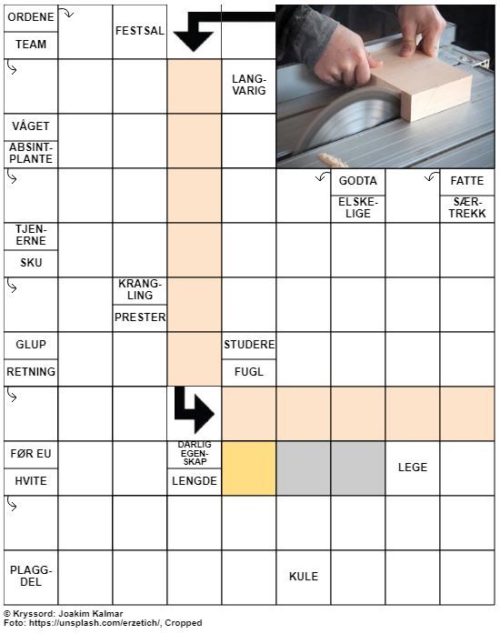 Dagens kryssord – 2. Juli – 2019