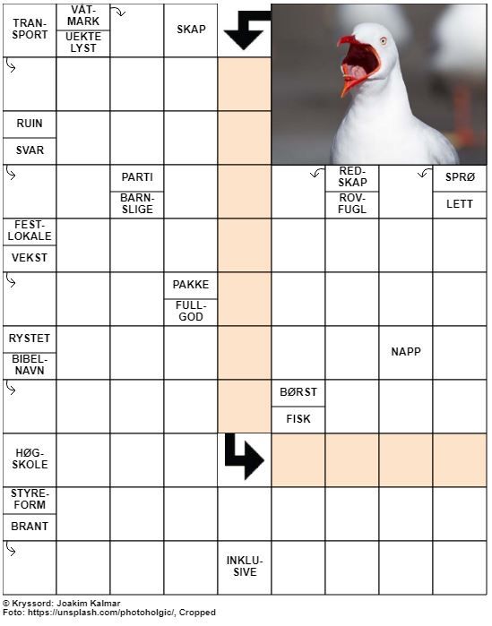 Dagens kryssord – 4. Juli – 2019