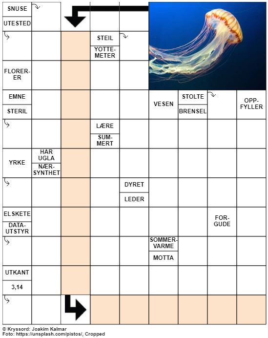 Dagens kryssord – 5. Juli – 2019