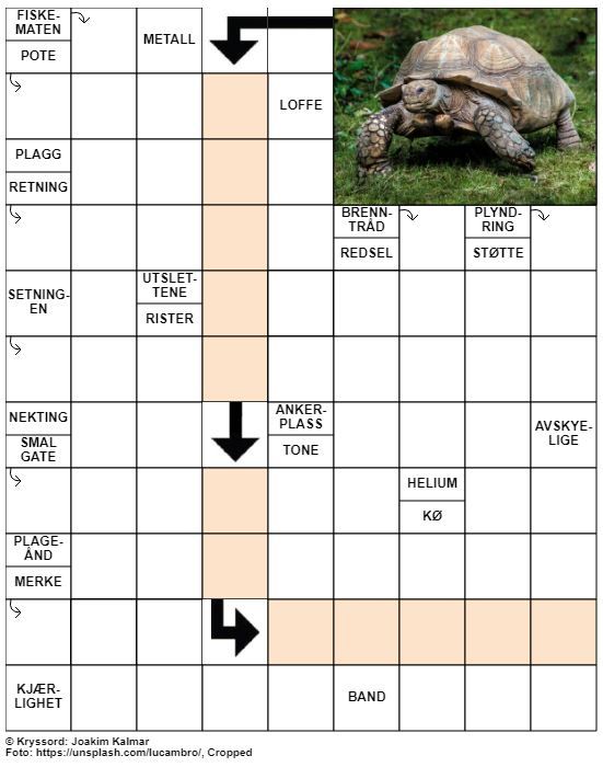 Dagens kryssord – 6. Juli – 2019
