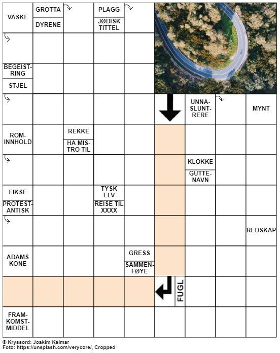 Dagens kryssord – 9. Juli – 2019