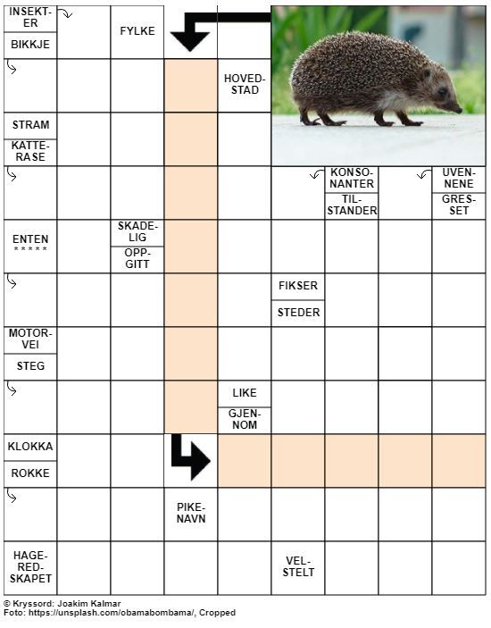 Dagens kryssord – 1. Juni – 2019