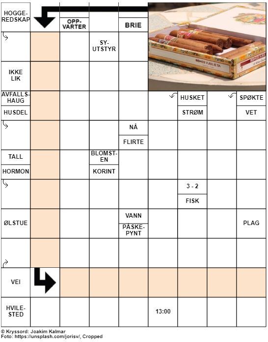 Dagens kryssord – 13. Juli – 2019