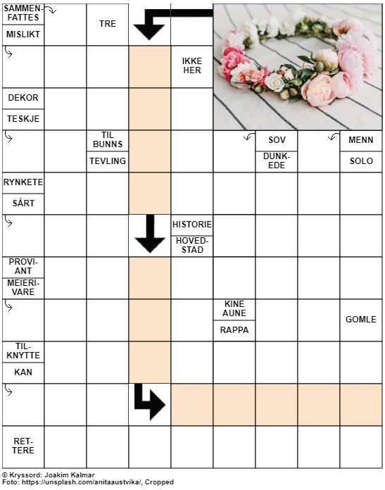 Dagens kryssord – 14. Juni – 2019