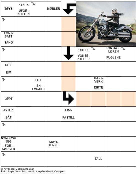 Dagens kryssord – 17. Juni – 2019