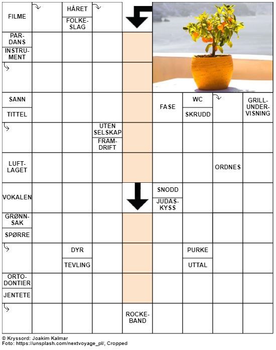 Dagens kryssord – 16. Juli – 2019