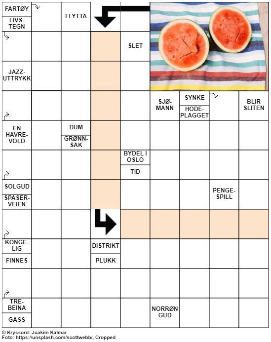 Dagens kryssord – 19. Juni – 2019