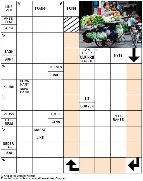 Dagens kryssord – 24. Juni – 2019