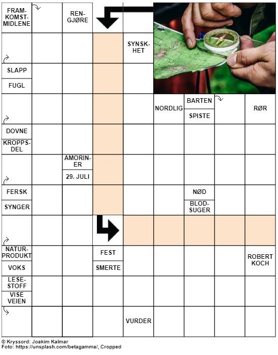 Dagens kryssord – 25. Juni – 2019