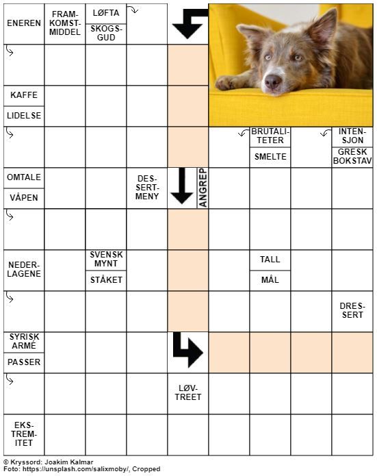 Dagens kryssord – 26. Juni – 2019