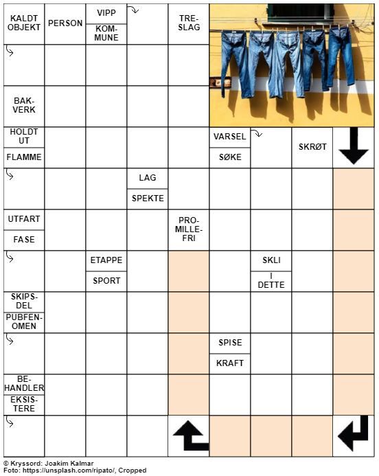 Dagens kryssord – 30. Juni – 2019
