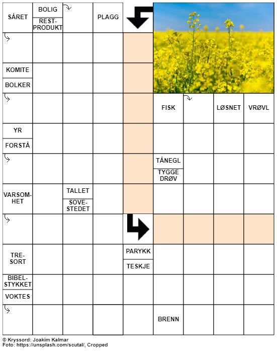 Dagens kryssord – 4. Juni – 2019