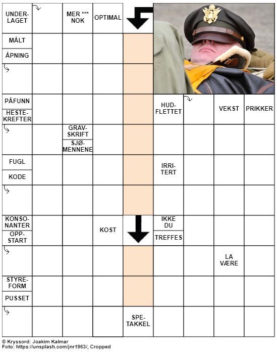 Dagens kryssord – 5. Juni – 2019