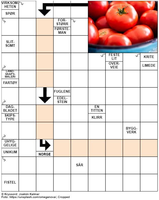 Dagens kryssord – 18. Juli – 2019