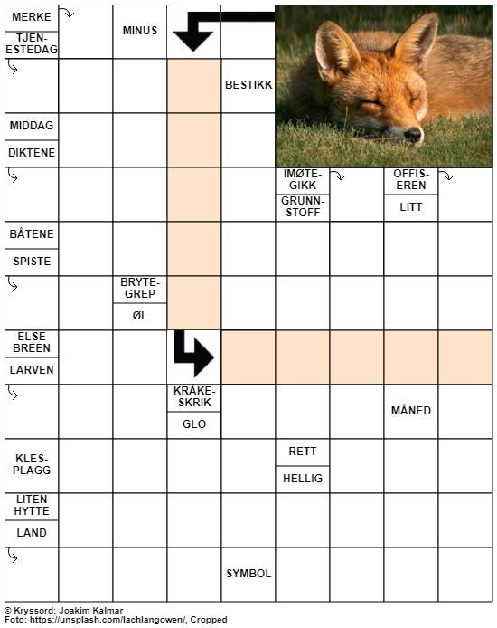Dagens kryssord – 21. Juli – 2019